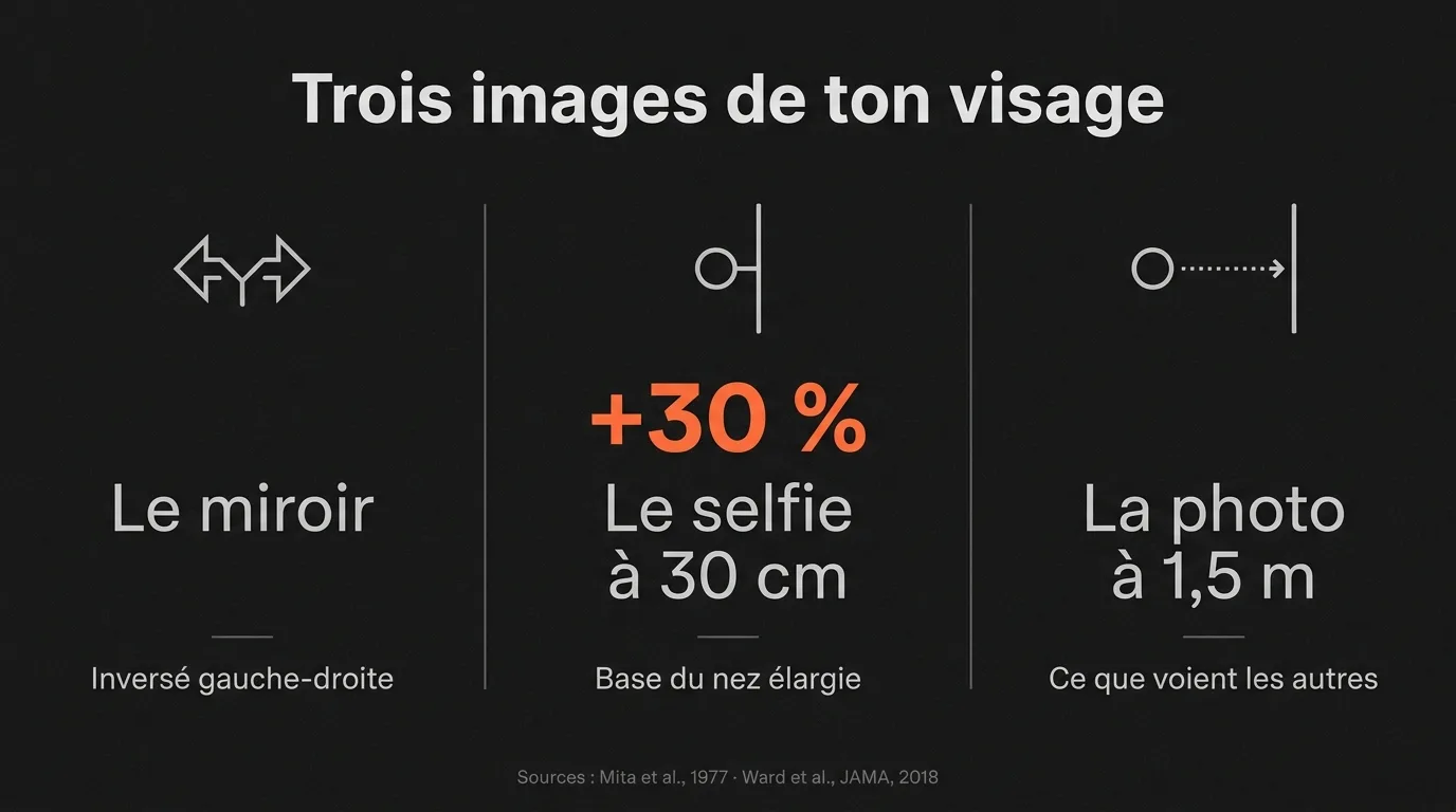 Trois images d’un même visage : le miroir inversé, le selfie à 30 cm qui élargit la base du nez d’environ 30 %, la photo à 1,5 m que voient les autres